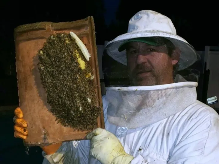 BeeSmart beekeeper holding a hive frame covered in bees
