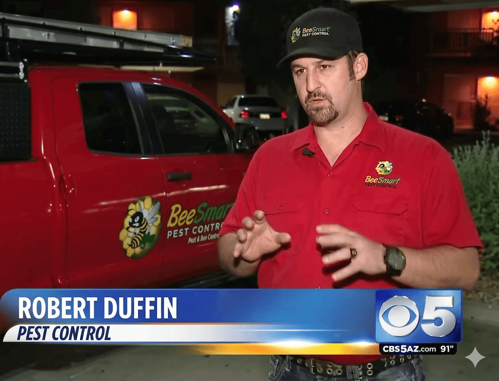 BeeSmart Bee Removal interview with CBS 5 News on Palm Springs bee removal