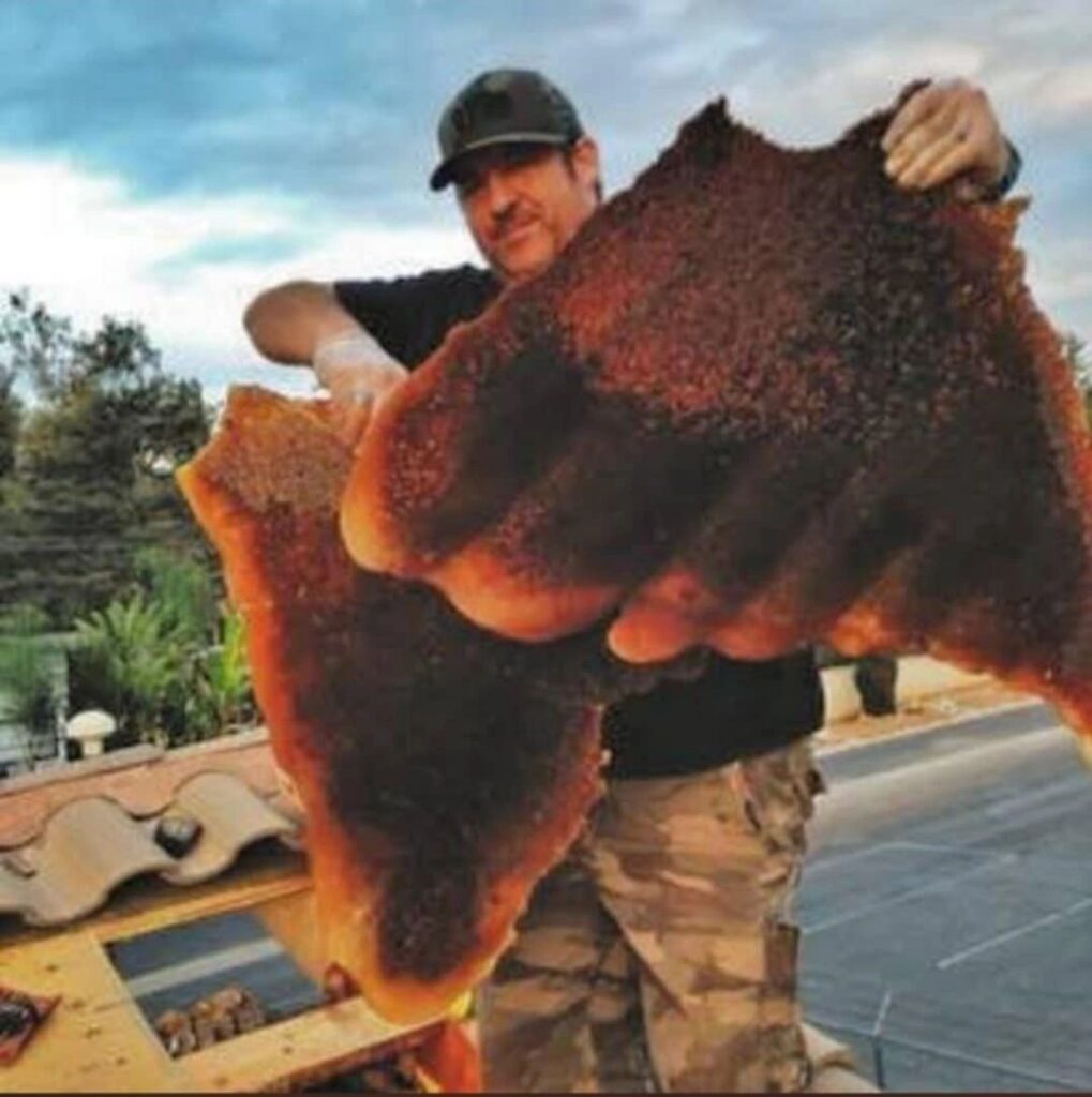 Robert Duffin removing a large honey comb from a La Quinta home's roof