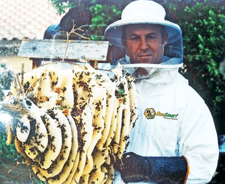 Robert Duffin owner of BeeSmart Bee Removal doing this over 30 years ago