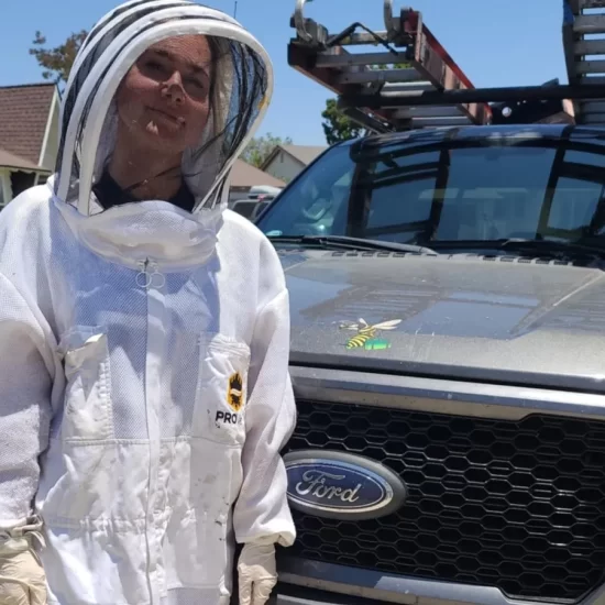bee removal services in palm springs