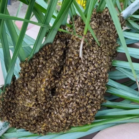 rs=w_921,h_692,cg_true rs=w_921,h_692,cg_true